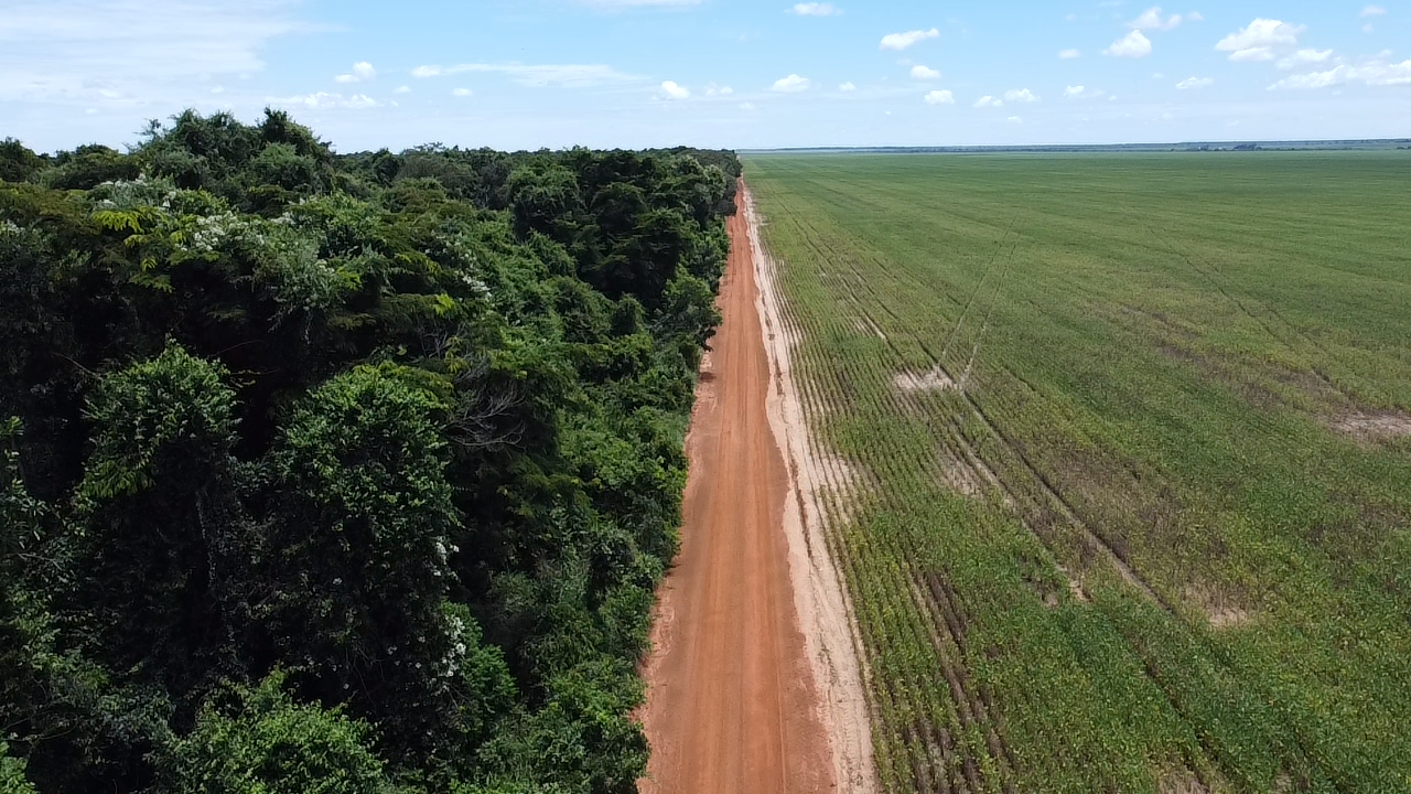 Regenerating degraded land in Cerrado Brazil